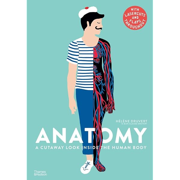 アート・デザイン・音楽 ANATOMY: A Cutaway Look Inside Anatomy: DRUVERT JEAN-CLAUDE: 9780500651360: Amazon.com: Books